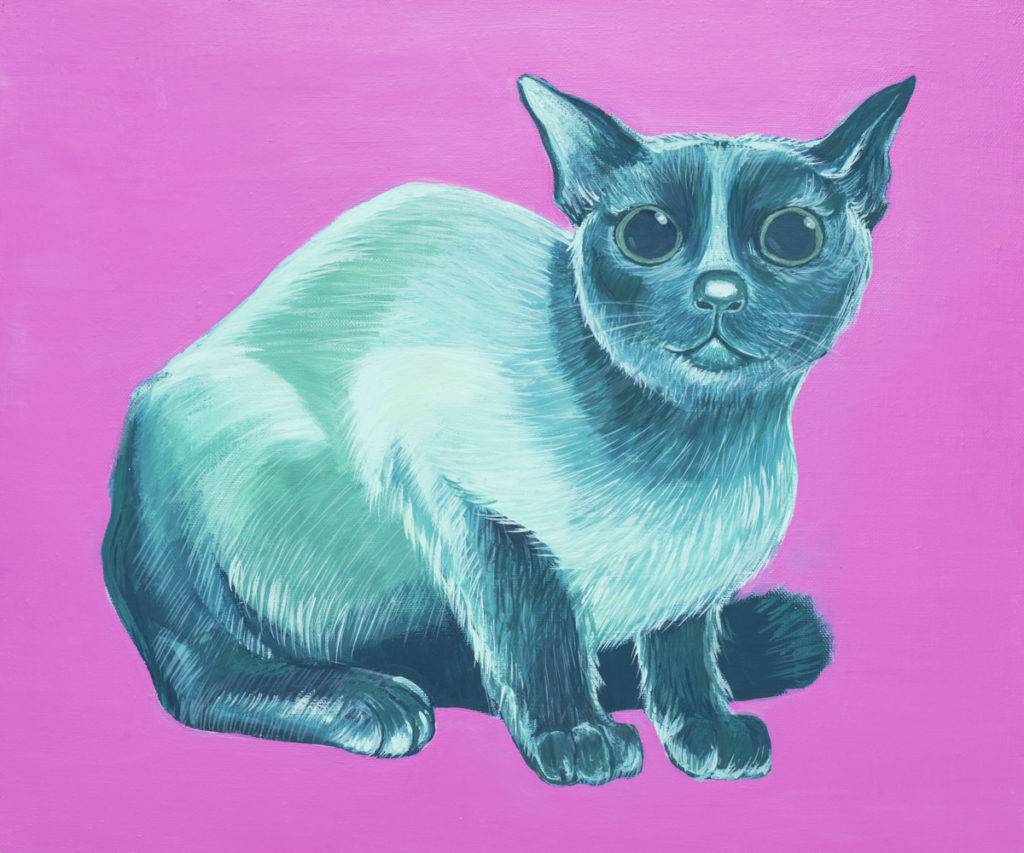 Disco kot - Anita Kucharczyk (2016), tempera damarowa, olej, wosk zmydlony, płótno
