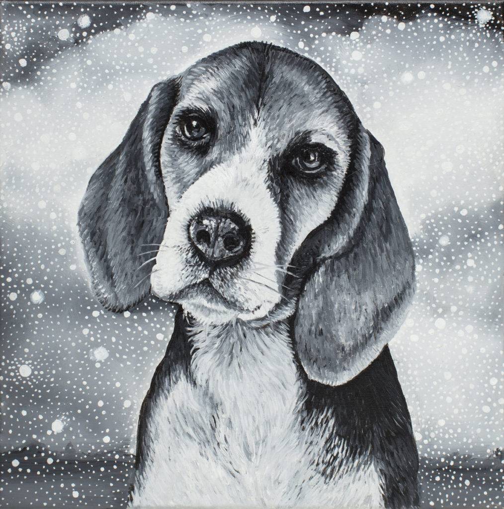 Beagle - Marta Julia Piórko (2017), obraz olejny na płótnie