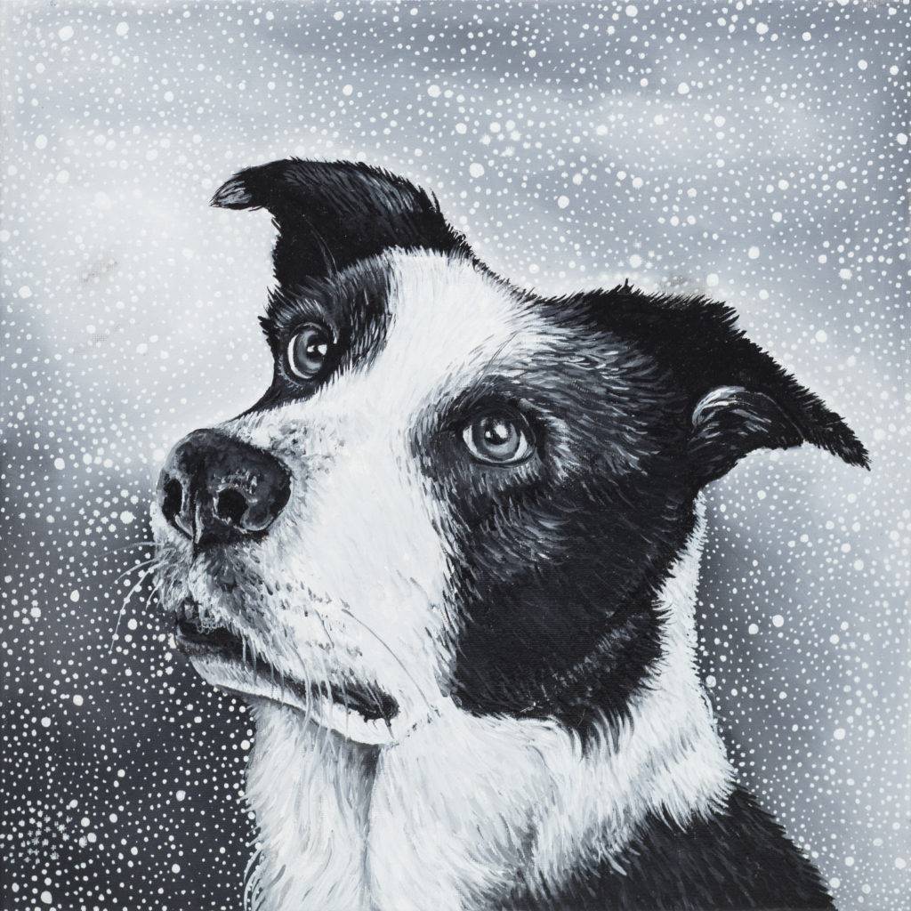 Pies - Marta Julia Piórko (2017), obraz olejny na płótnie