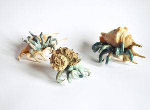 Kraby w muszlach w błękicie - Aneta Śliwa (2017), ceramika szkliwiona, muszle