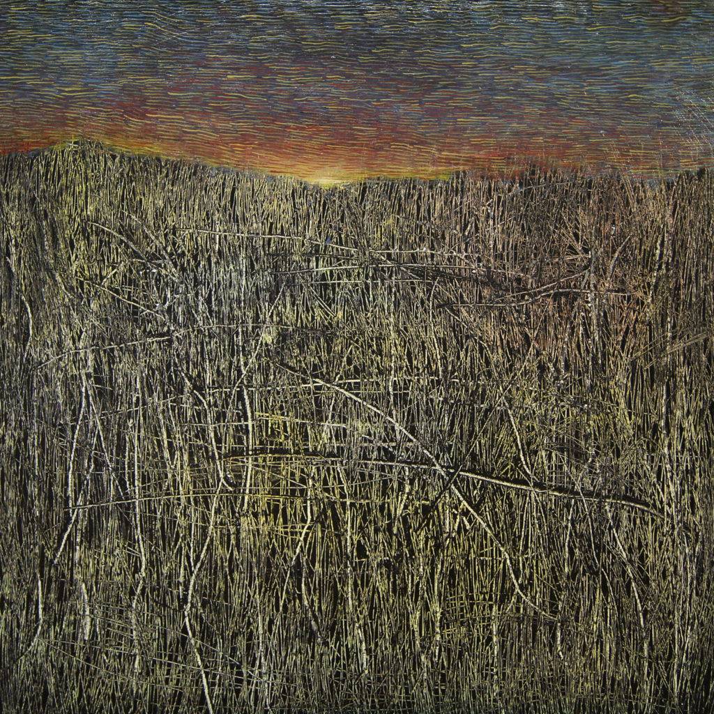 Pole z płynącym niebem II - Ziemowit Fincek (2017), obraz olejny na płótnie
