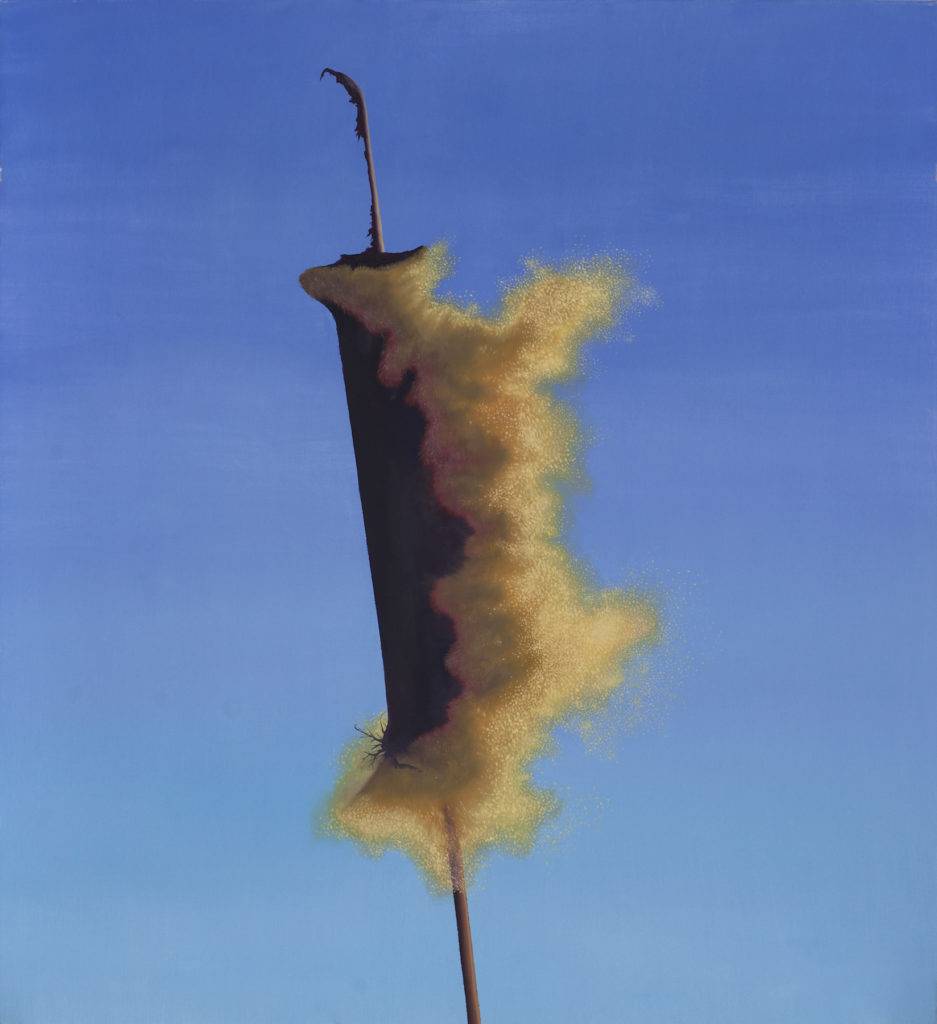 Bez tytułu - Krzysztof Piętka, obraz olejny na płótnie