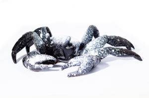 Krab czarny - Aneta Śliwa (2019), ceramika szkliwiona