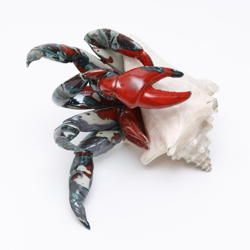 Krab - Aneta Śliwa (2020), ceramika szkliwiona, muszla