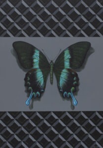 P. B. G. S. (2021) - Michał Spryszyński - Ciemny motyl z cielono-niebieskimi akcentami na tle op-artowej, szarej drobnej kratki