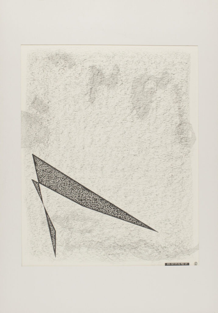 Michal Paryzski - Bez tytułu - abstrakcyjna praca wykonana ołówkiem na papierze