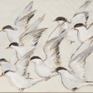 rybitwy - Katarzyna Kostecka - 8 ptaków w locie, lecących w lewą stronę