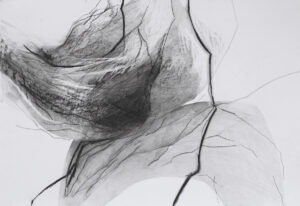 Agata Czeąremuszkin-Chrut, Z cyklu Otwory, 2021- abstrakcyjny rysunek na papierze