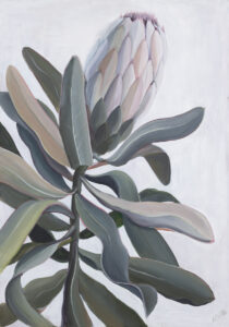 Alina Shevchenko - Protea, 2021 - obraz z rośliną na białym tle