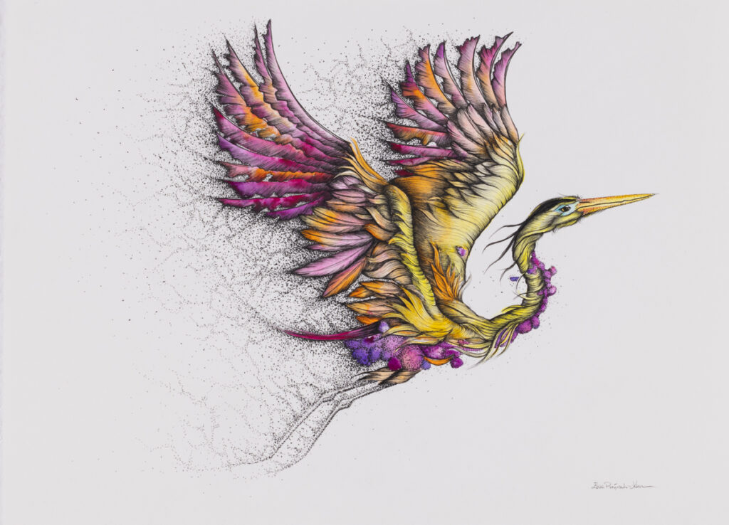 Ewa Prończuk-Kuziak ptak w locie skrzydła kolorowy ptak rysunek