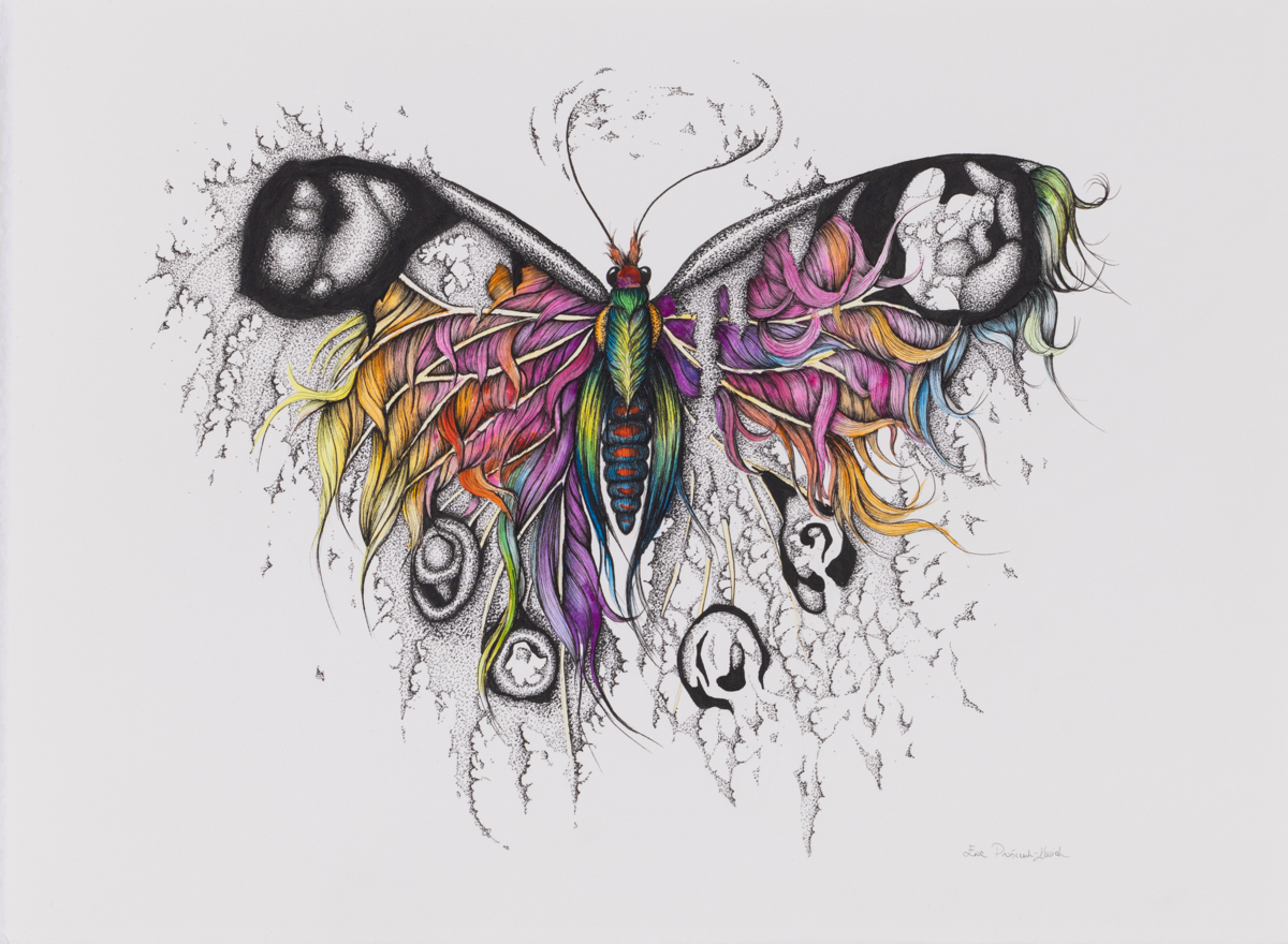 Ewa Prończuk-Kuziak Motyl, 2022 kolorowy motyl rysunek robak projekt