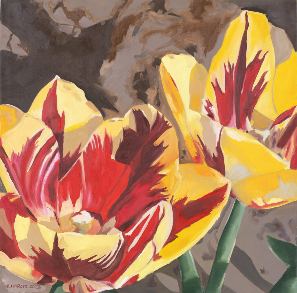 Alicja Marzec Powiew wiosny, 2023 tulipany kwiaty żółte czerwone ziemia wiosna botanika