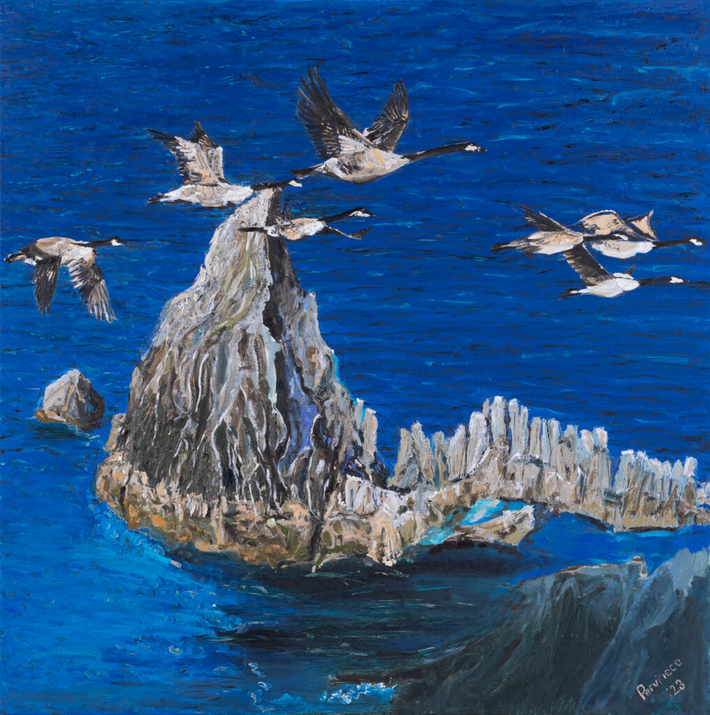 Pervin Ece Yakacik Over the rocks, 2023 ptaki morze ocean skały animalistyka pejzaż morski